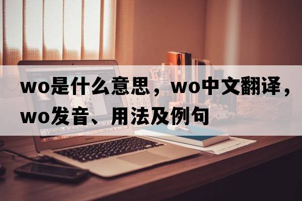 wo是什么意思，wo中文翻譯，wo發(fā)音、用法及例句