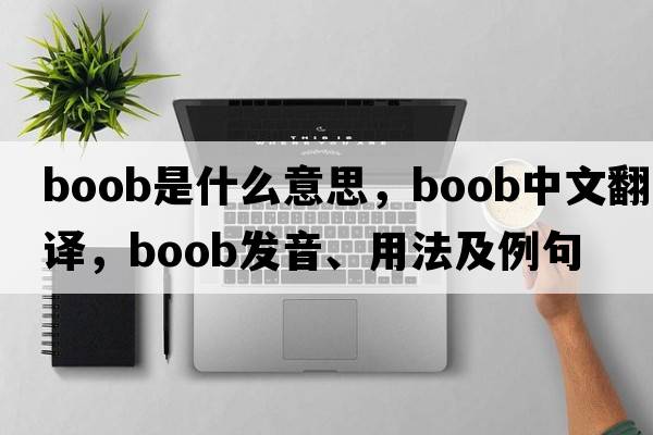 boob是什么意思，boob中文翻譯，boob發(fā)音、用法及例句