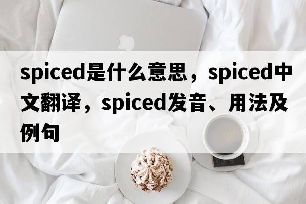 spiced是什么意思，spiced中文翻譯，spiced發(fā)音、用法及例句