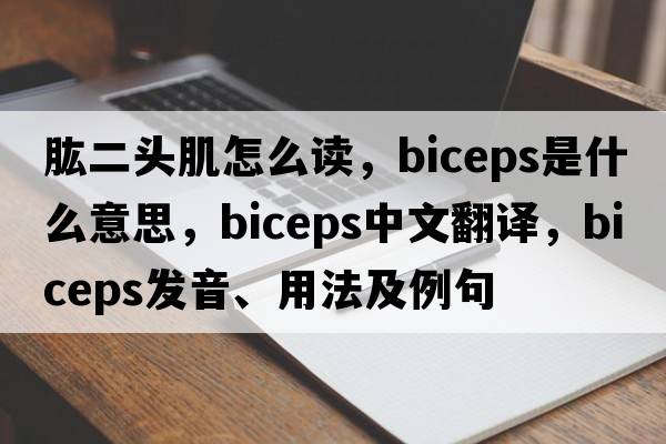 肱二頭肌怎么讀，biceps是什么意思，biceps中文翻譯，biceps發(fā)音、用法及例句