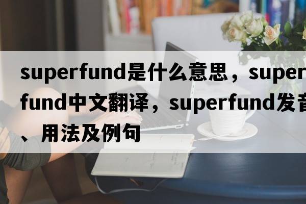 Superfund是什么意思，Superfund中文翻譯，Superfund發(fā)音、用法及例句