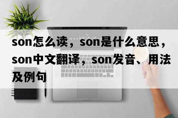 son怎么讀，son是什么意思，son中文翻譯，son發(fā)音、用法及例句