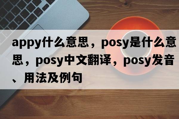 appy什么意思，posy是什么意思，posy中文翻譯，posy發(fā)音、用法及例句
