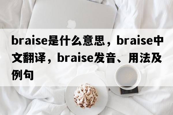 braise是什么意思，braise中文翻譯，braise發(fā)音、用法及例句