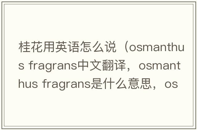 桂花用英語(yǔ)怎么說(shuō)（osmanthus fragrans中文翻譯，osmanthus fragrans是什么意思，osmanthus fragrans發(fā)音、用法及例句）