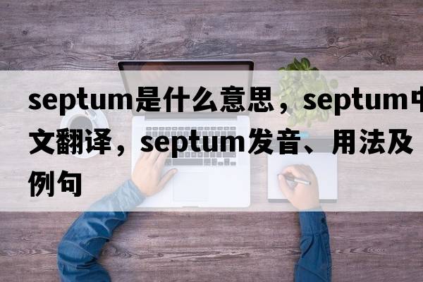 septum是什么意思，septum中文翻譯，septum發(fā)音、用法及例句