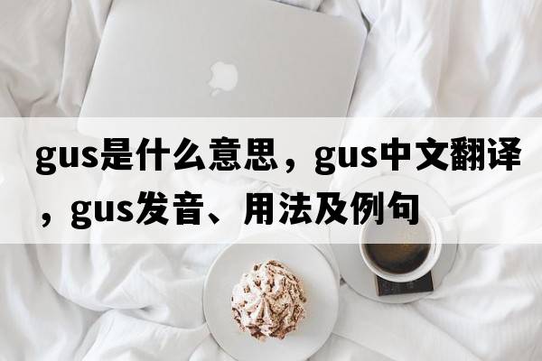 gus是什么意思，gus中文翻譯，gus發(fā)音、用法及例句