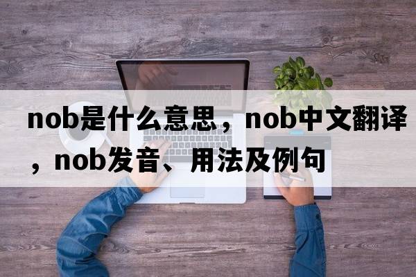 nob是什么意思，nob中文翻譯，nob發(fā)音、用法及例句