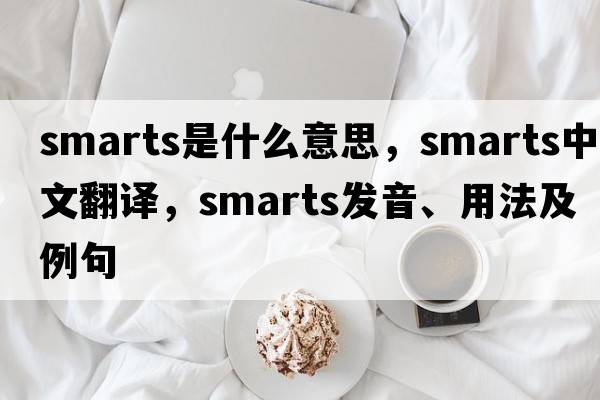 smarts是什么意思，smarts中文翻譯，smarts發(fā)音、用法及例句