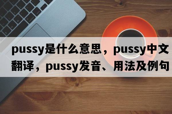 pussy是什么意思，pussy中文翻譯，pussy發(fā)音、用法及例句