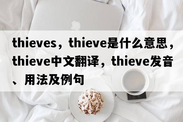 thieves，thieve是什么意思，thieve中文翻譯，thieve發(fā)音、用法及例句