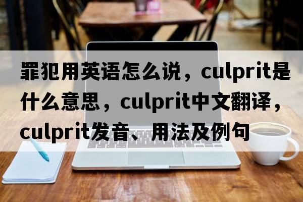 罪犯用英語(yǔ)怎么說(shuō)，culprit是什么意思，culprit中文翻譯，culprit發(fā)音、用法及例句