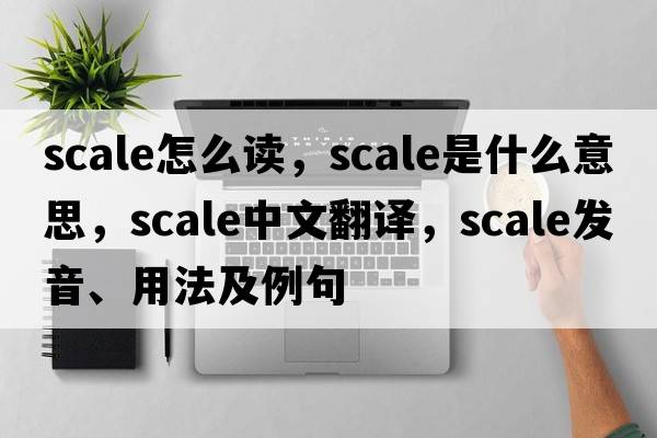scale怎么讀，scale是什么意思，scale中文翻譯，scale發(fā)音、用法及例句