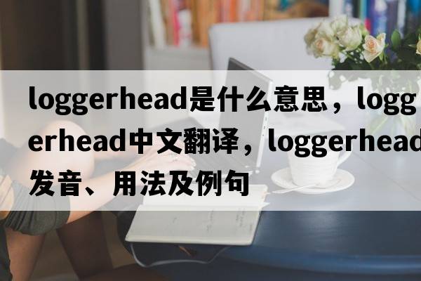 loggerhead是什么意思，loggerhead中文翻譯，loggerhead發(fā)音、用法及例句