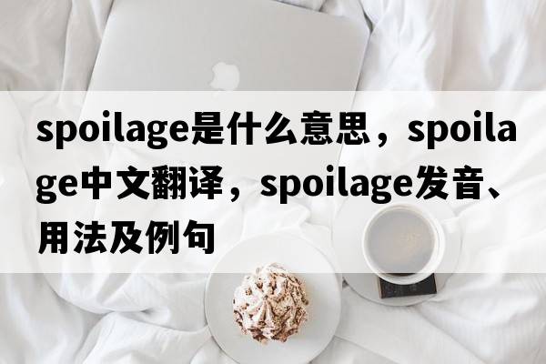 spoilage是什么意思，spoilage中文翻譯，spoilage發(fā)音、用法及例句