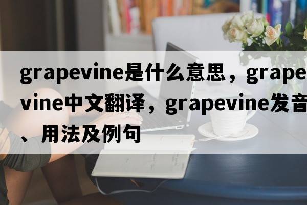 grapevine是什么意思，grapevine中文翻譯，grapevine發(fā)音、用法及例句
