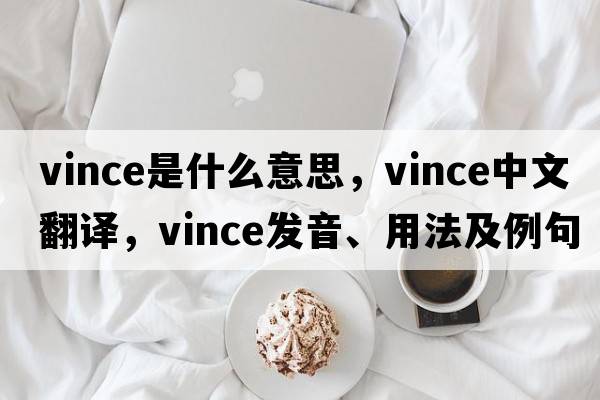 vince是什么意思，vince中文翻譯，vince發(fā)音、用法及例句