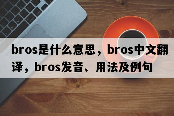 BROS是什么意思，BROS中文翻譯，BROS發(fā)音、用法及例句