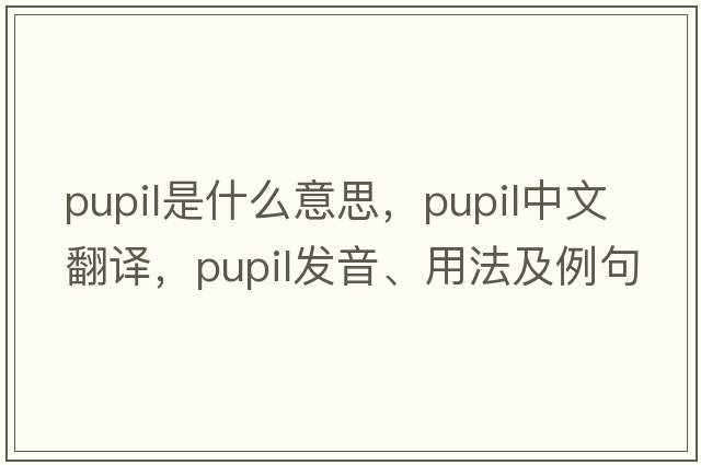 pupil是什么意思，pupil中文翻譯，pupil發(fā)音、用法及例句
