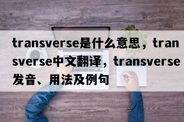 transverse是什么意思，transverse中文翻譯，transverse發(fā)音、用法及例句