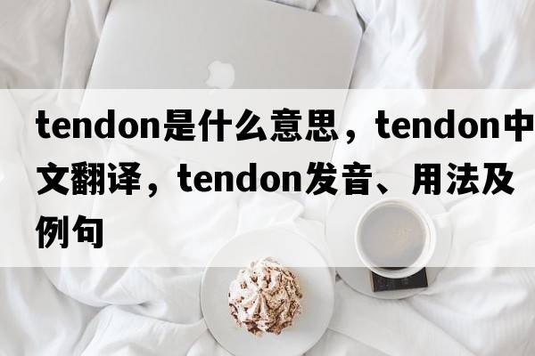tendon是什么意思，tendon中文翻譯，tendon發(fā)音、用法及例句