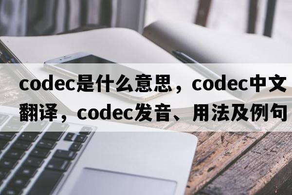 codec是什么意思，codec中文翻譯，codec發(fā)音、用法及例句