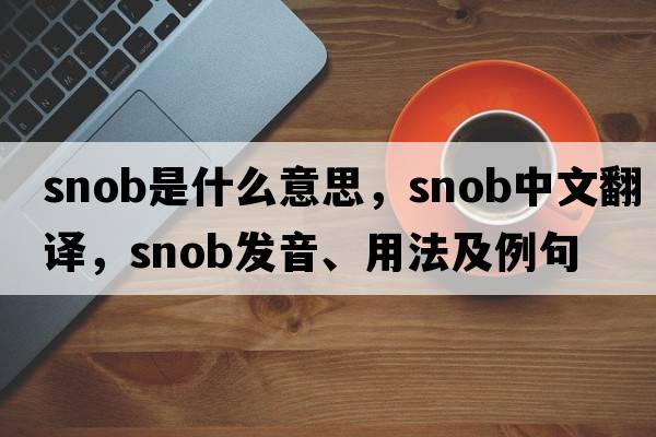 snob是什么意思，snob中文翻譯，snob發(fā)音、用法及例句