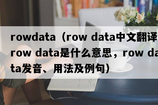 rowdata（row data中文翻譯，row data是什么意思，row data發(fā)音、用法及例句）