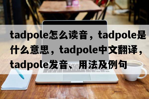 tadpole怎么讀音，tadpole是什么意思，tadpole中文翻譯，tadpole發(fā)音、用法及例句