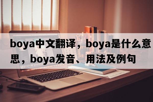 Boya中文翻譯，Boya是什么意思，Boya發(fā)音、用法及例句