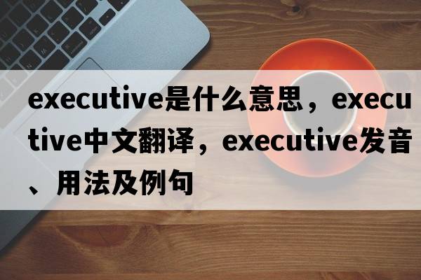 executive是什么意思，executive中文翻譯，executive發(fā)音、用法及例句