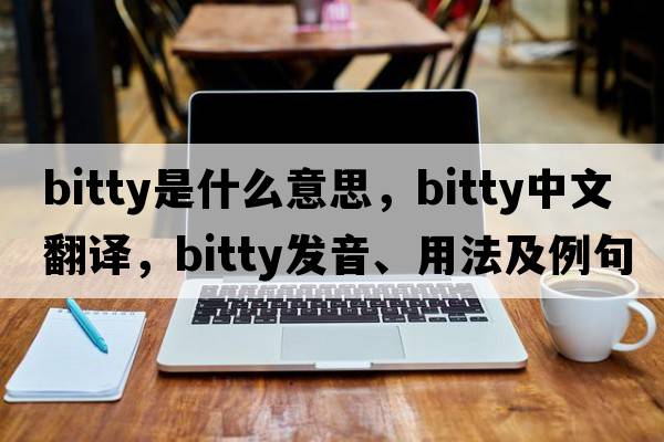 bitty是什么意思，bitty中文翻譯，bitty發(fā)音、用法及例句