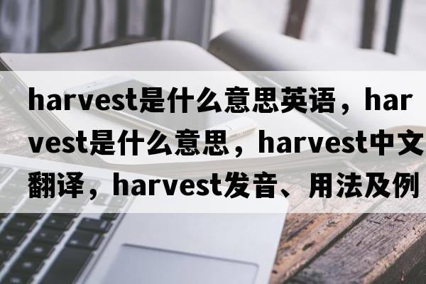 harvest是什么意思英語(yǔ)，harvest是什么意思，harvest中文翻譯，harvest發(fā)音、用法及例句