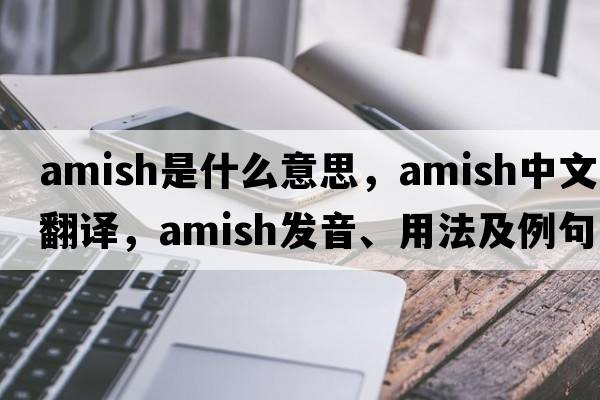 amish是什么意思，amish中文翻譯，amish發(fā)音、用法及例句