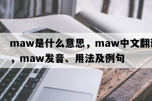 maw是什么意思，maw中文翻譯，maw發(fā)音、用法及例句