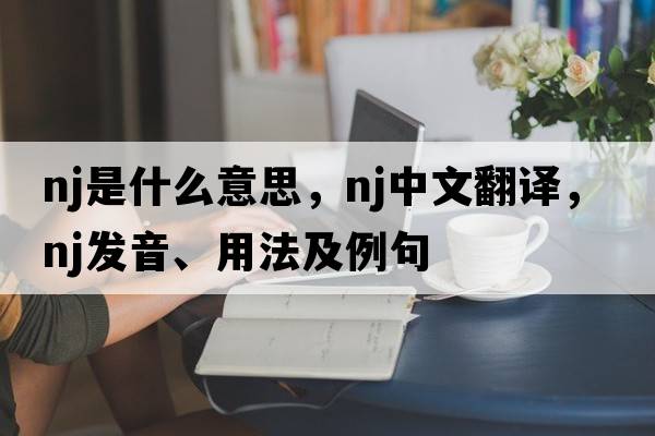 nj是什么意思，nj中文翻譯，nj發(fā)音、用法及例句