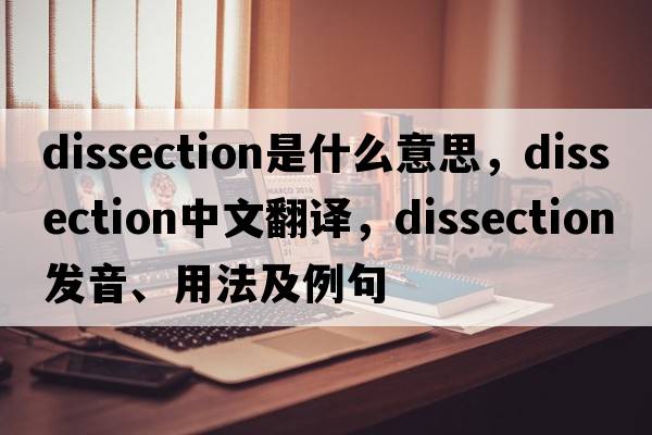 dissection是什么意思，dissection中文翻譯，dissection發(fā)音、用法及例句