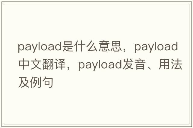 payload是什么意思，payload中文翻譯，payload發(fā)音、用法及例句