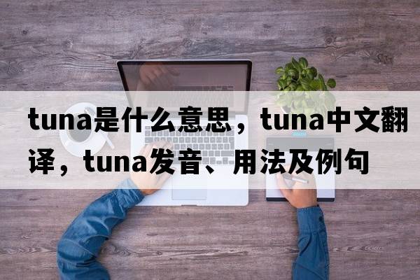tuna是什么意思，tuna中文翻譯，tuna發(fā)音、用法及例句