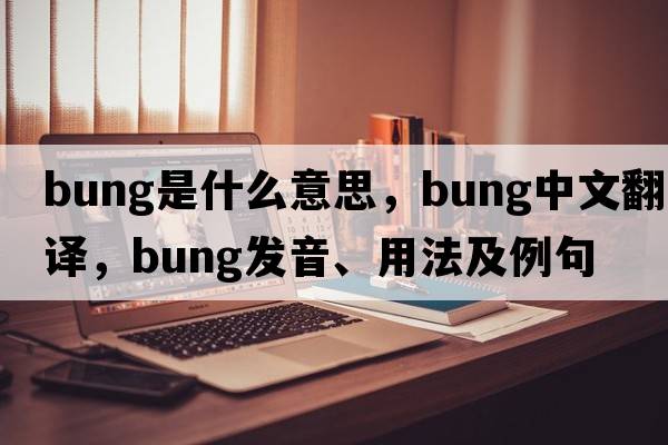 bung是什么意思，bung中文翻譯，bung發(fā)音、用法及例句