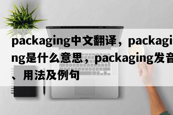 packaging中文翻譯，packaging是什么意思，packaging發(fā)音、用法及例句