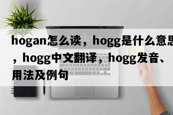 hogan怎么讀，Hogg是什么意思，Hogg中文翻譯，Hogg發(fā)音、用法及例句