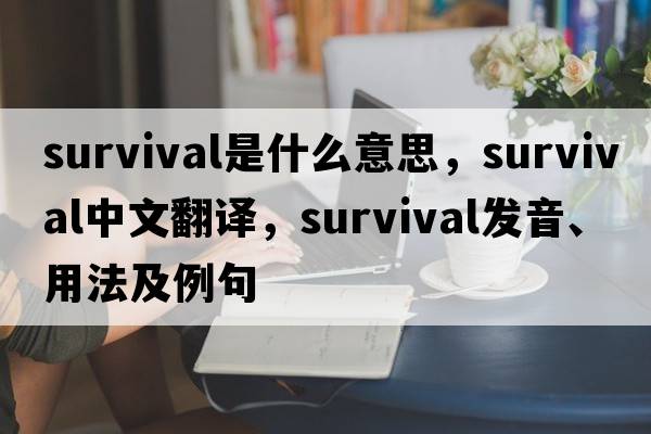 survival是什么意思，survival中文翻譯，survival發(fā)音、用法及例句