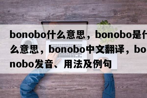 bonobo什么意思，bonobo是什么意思，bonobo中文翻譯，bonobo發(fā)音、用法及例句