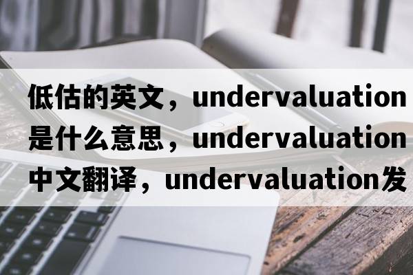 低估的英文，undervaluation是什么意思，undervaluation中文翻譯，undervaluation發(fā)音、用法及例句