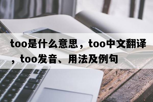 too是什么意思，too中文翻譯，too發(fā)音、用法及例句