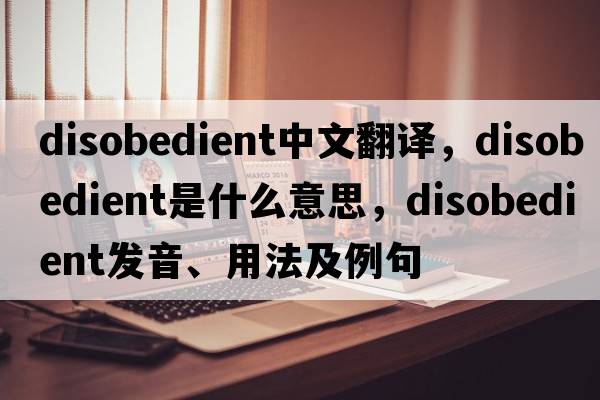 disobedient中文翻譯，disobedient是什么意思，disobedient發(fā)音、用法及例句