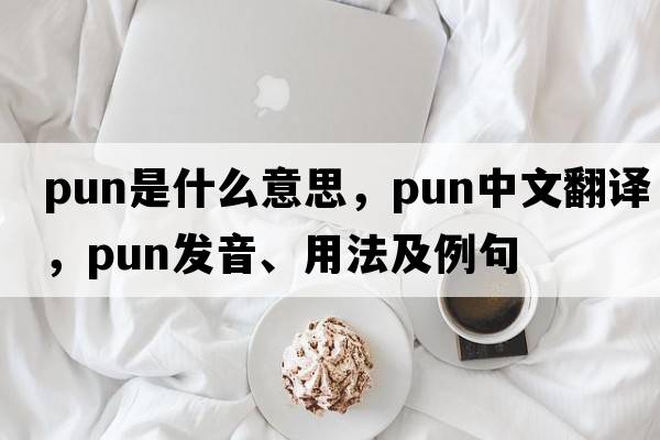 pun是什么意思，pun中文翻譯，pun發(fā)音、用法及例句
