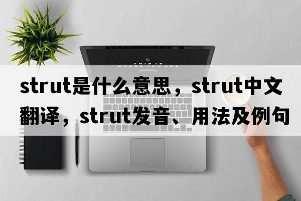 strut是什么意思，strut中文翻譯，strut發(fā)音、用法及例句