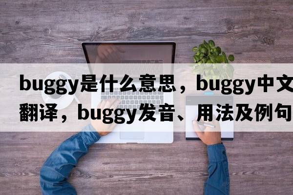 buggy是什么意思，buggy中文翻譯，buggy發(fā)音、用法及例句